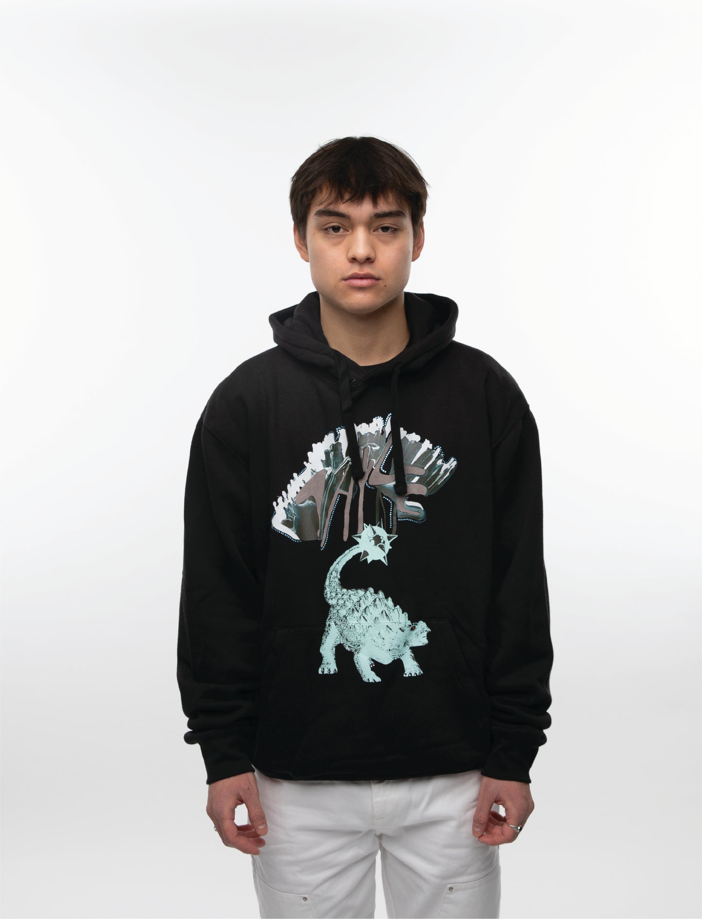 LIMITED ANKYLOSAURUS HOODIE