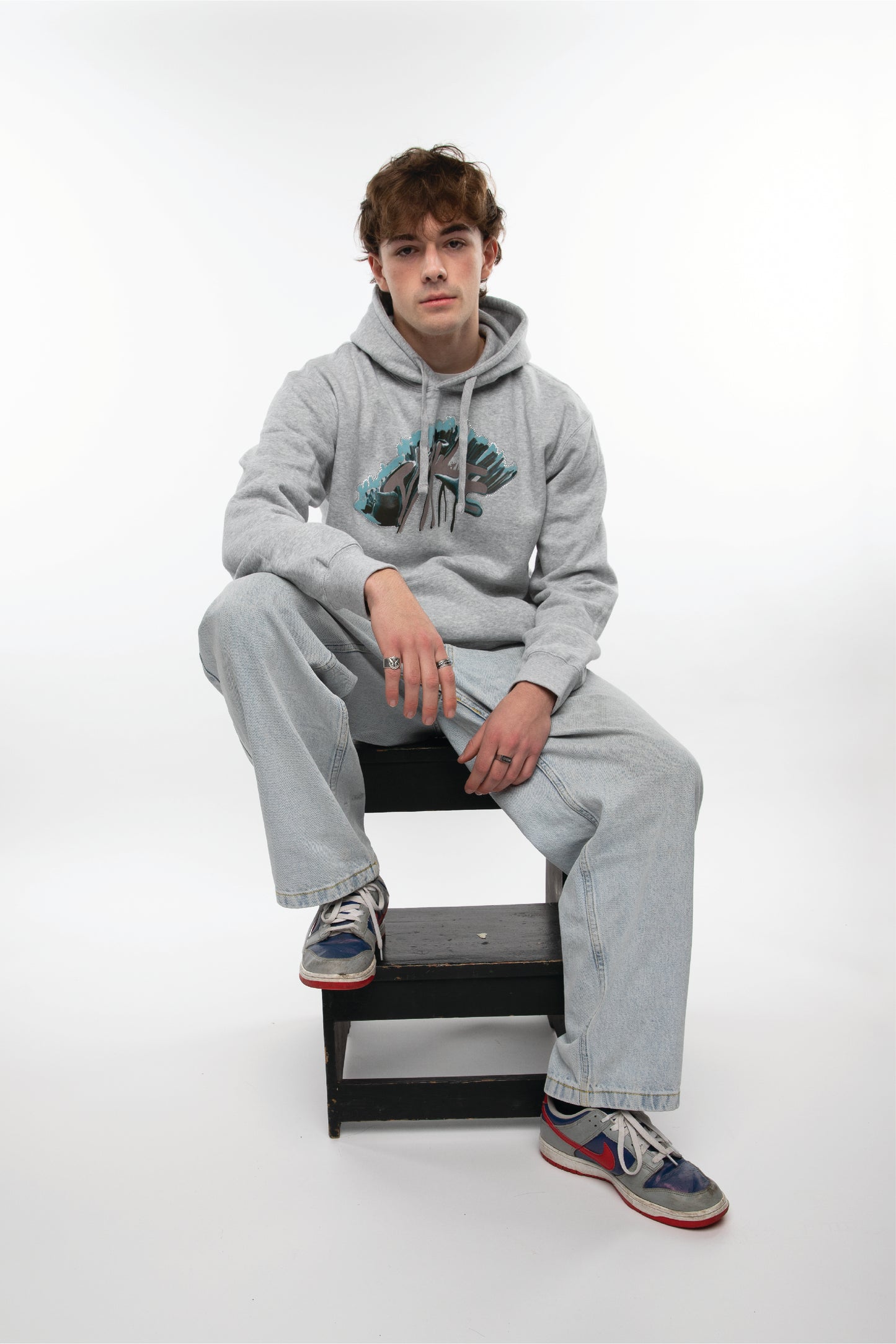 ANKYLOSAURUS LOGO HOODIE