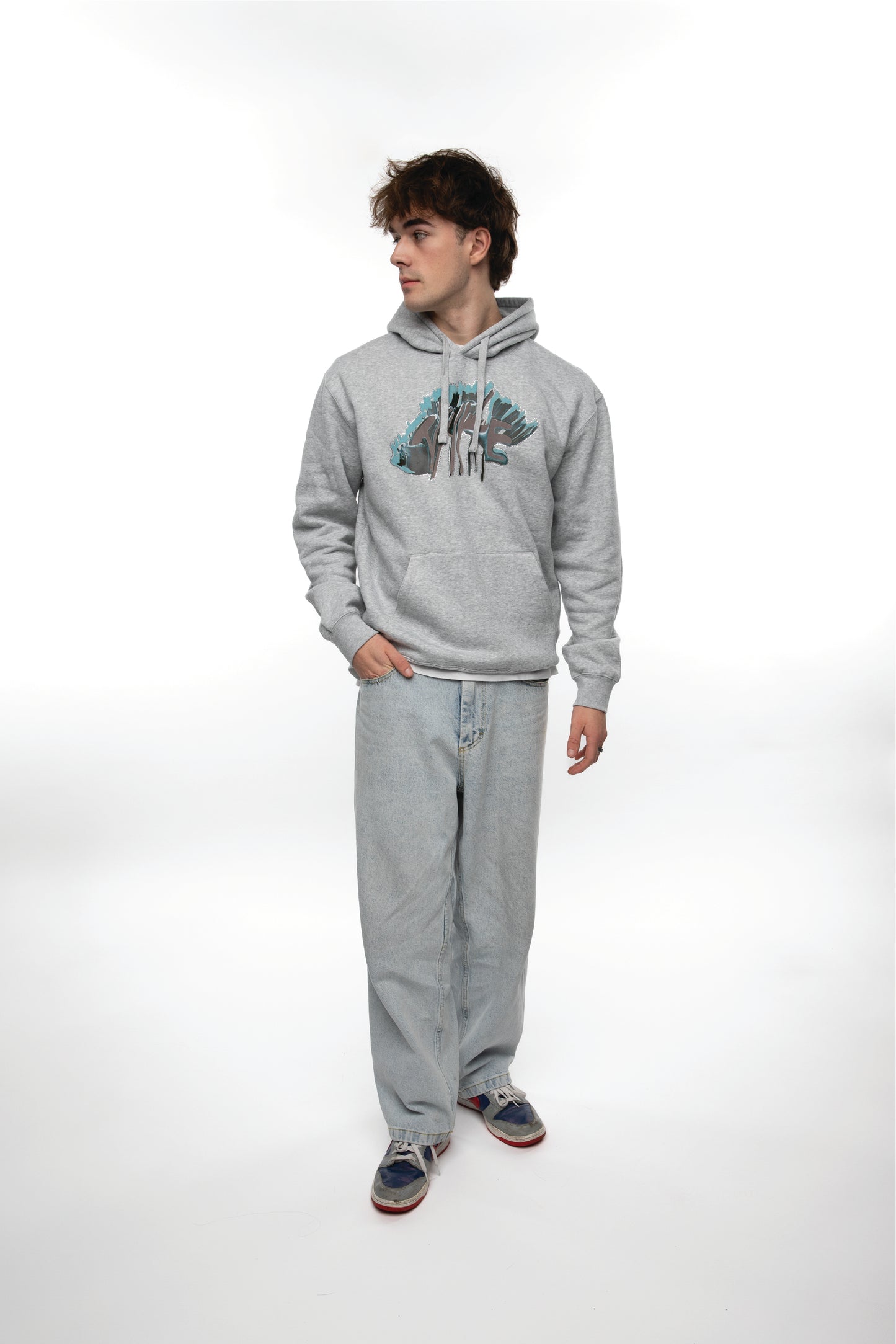 ANKYLOSAURUS LOGO HOODIE